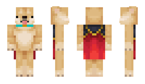 Minecraft skin Insar