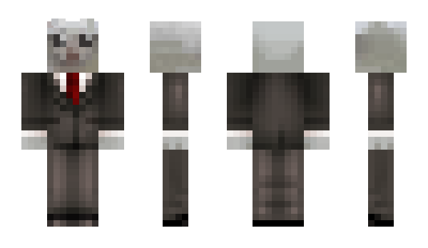 Minecraft skin DrAgonThe