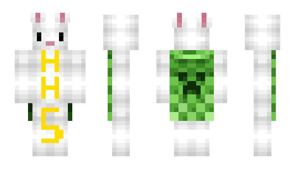 Minecraft skin hH5_potion