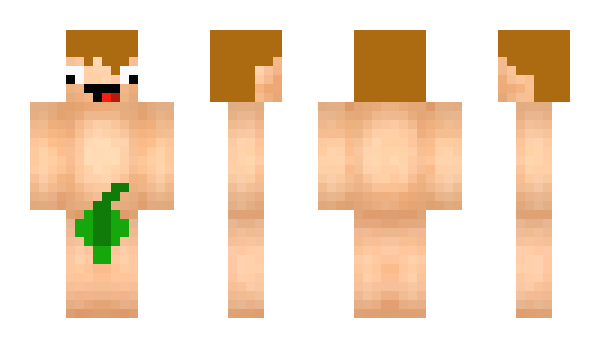 Minecraft skin Plixxter