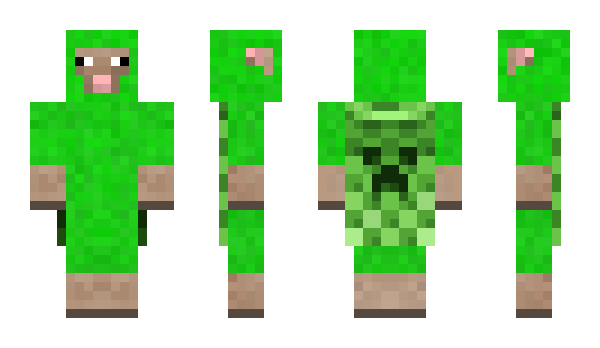 Minecraft skin 5axe