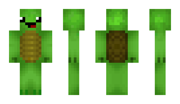 Minecraft skin MediCayde