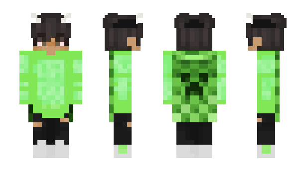 Minecraft skin Futji