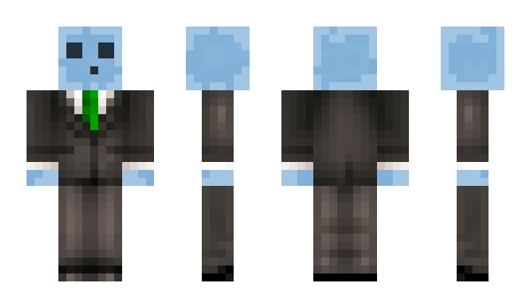 Minecraft skin platypus364