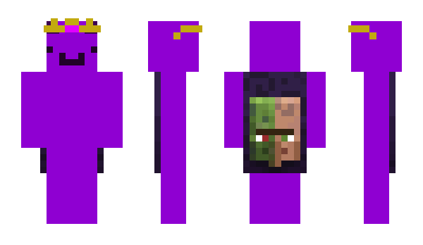 Minecraft skin wsgcon