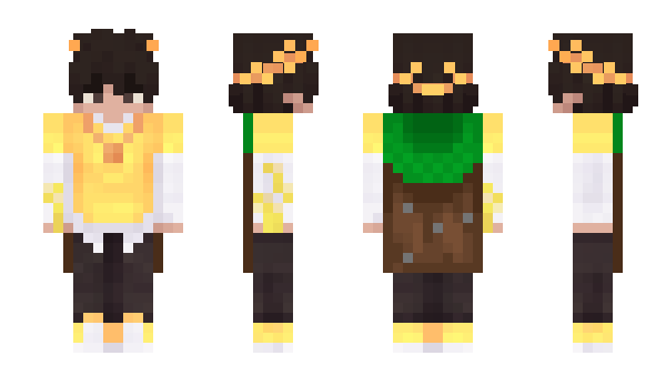 Minecraft skin pforadori