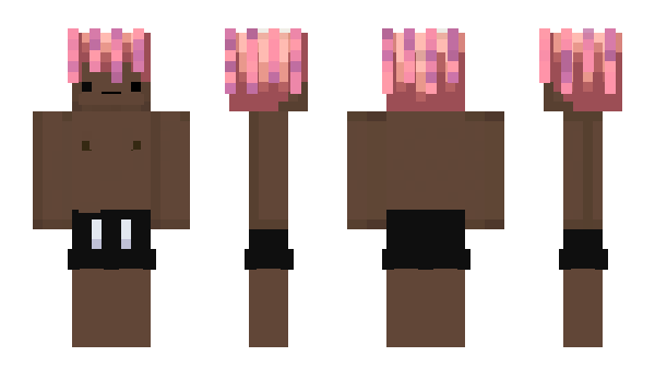 Minecraft skin Pueble