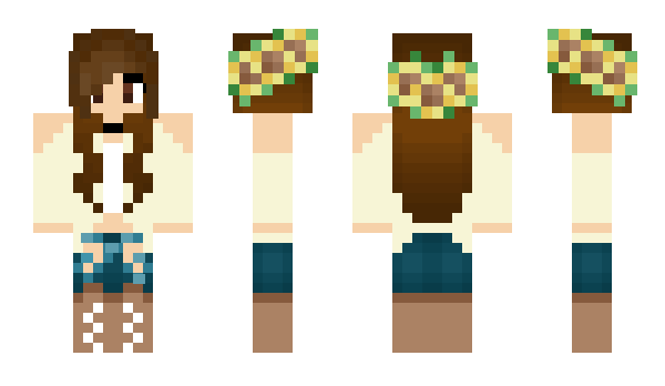 Minecraft skin Zorro9