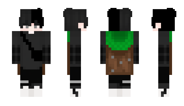 Minecraft skin Ashlocking