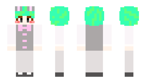 Minecraft skin SaJans