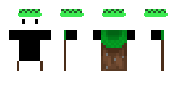 Minecraft skin Forajer_