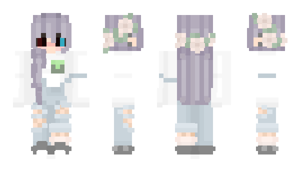 Minecraft skin SakonUkon