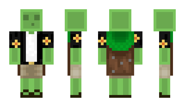 Minecraft skin Loizx