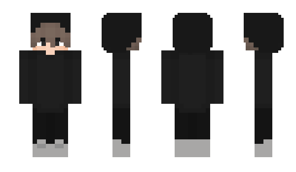 Minecraft skin Flayt