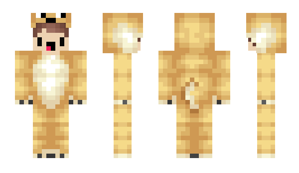 Minecraft skin andogames