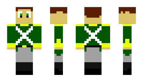 Minecraft skin Temrer