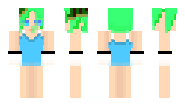 Minecraft skin Meme_T