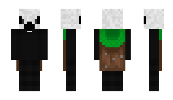 Minecraft skin Flashy3Albr