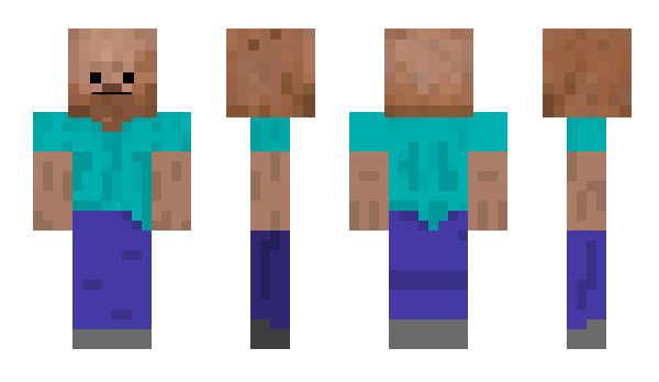 Minecraft skin llanat