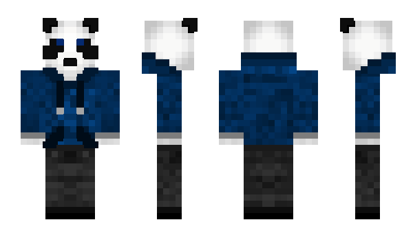 Minecraft skin DanNWB