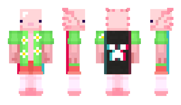 Minecraft skin zit4_YT