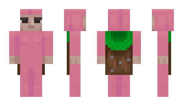 Minecraft skin pubbbbb