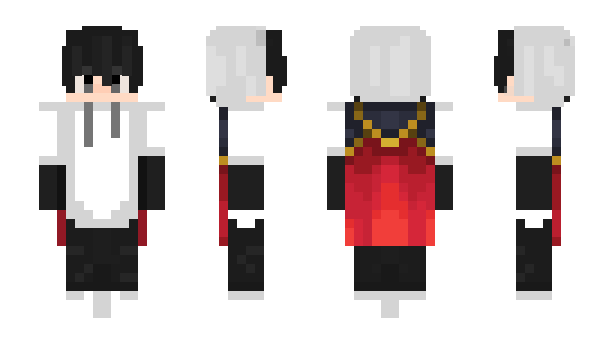 Minecraft skin ___p