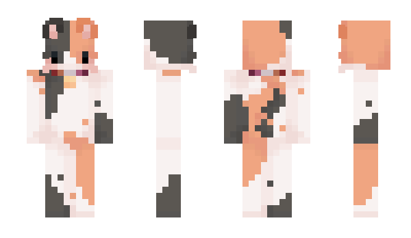 Minecraft skin DynaDani