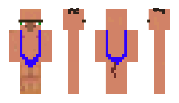 Minecraft скин по нику Pretocsky