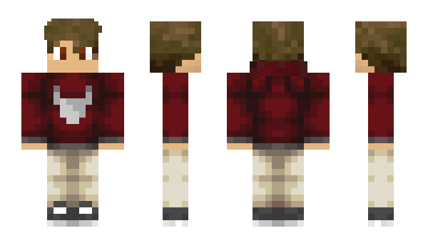 Minecraft skin Nic27