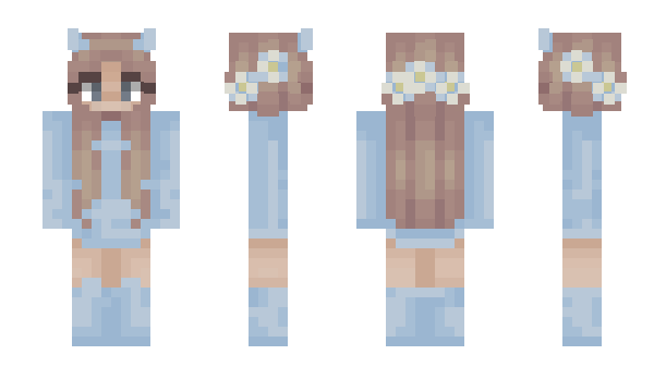 Minecraft skin TBXFR