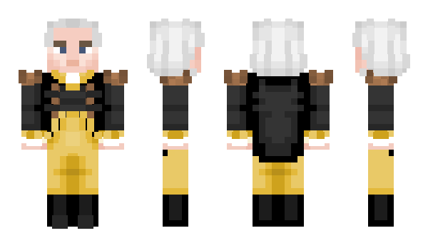 Minecraft skin skibidididi