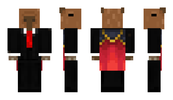 Minecraft skin RafaRydor11