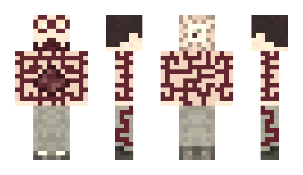 Minecraft skin TRS2