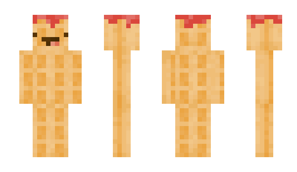 Minecraft skin Tomkys