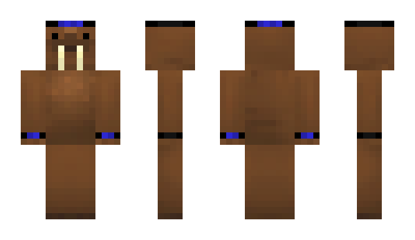 Minecraft skin Yoksi