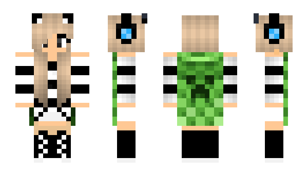 Minecraft skin Paxim