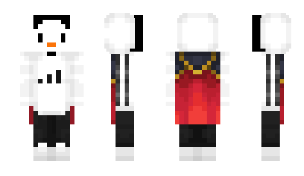 Minecraft skin DarosRollstuhl