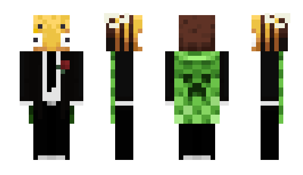 Minecraft skin Grdrox