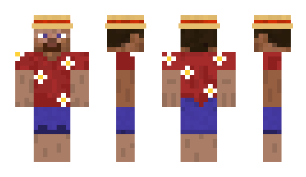 Minecraft skin IslandExplorer