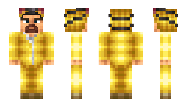Minecraft skin Poxc