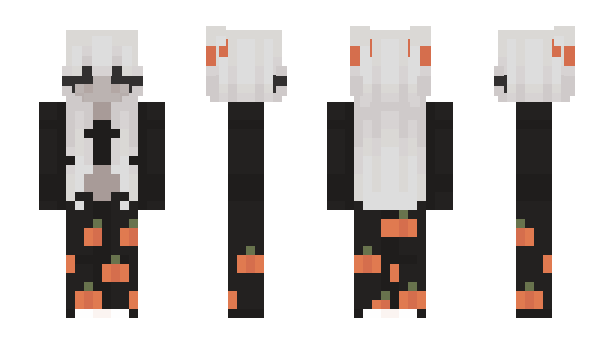Minecraft skin DuckLoans