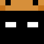 Minecraft skin dccs