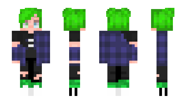 Minecraft skin Galaxypixelpanda