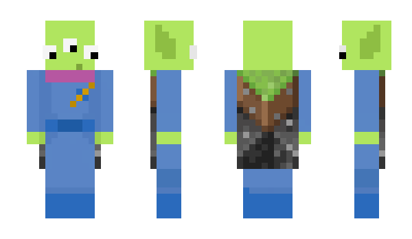 Minecraft skin Perrya