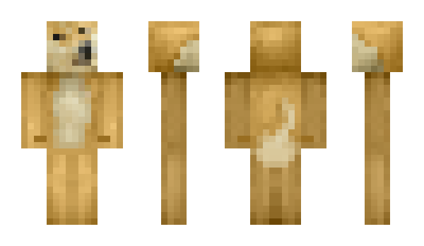 Minecraft skin Zebil