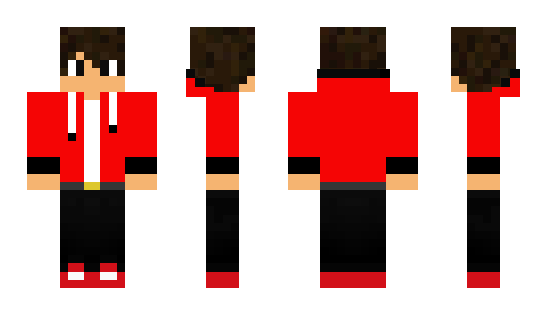 Minecraft skin skiflex