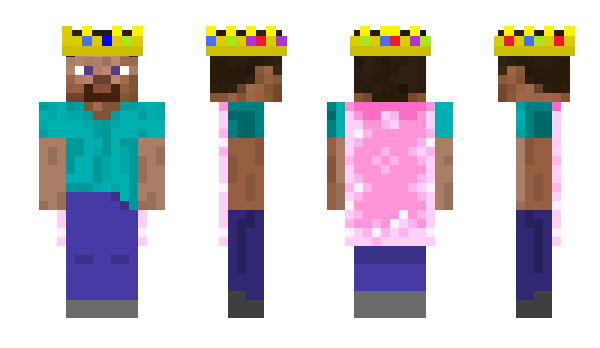 Minecraft skin mendingelytra