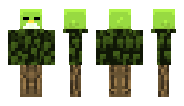 Minecraft skin CaptainRock