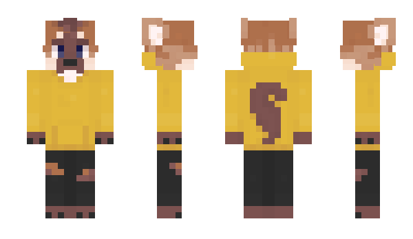 Minecraft skin ej808